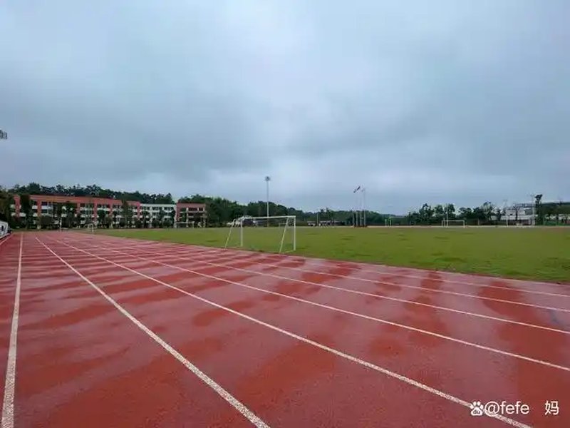 户外运动场_02